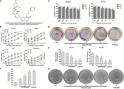 ZDQ-0620, a Novel Phosphatidylinositol 3-Kinase Inhibitor, Inhibits Colorectal Carcinoma Cell Proliferation and Suppresses Angiogenesis by Attenuating PI3K/AKT/mTOR Pathway